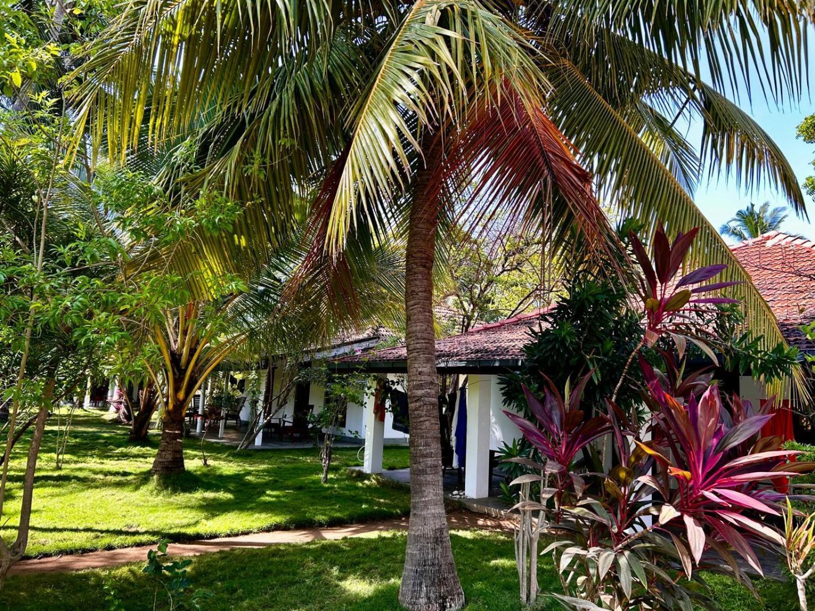 108 Palms Beach Resort Trincomalee Εξωτερικό φωτογραφία